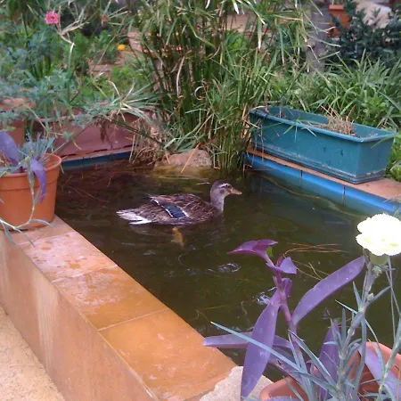 Tenuta Venezia Farm stay Castelvetrano