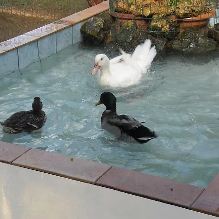 Tenuta Venezia Farm stay