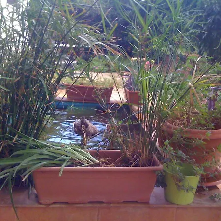 Tenuta Venezia Farm stay Castelvetrano