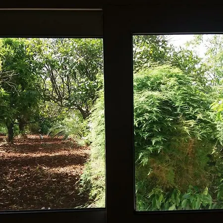 Tenuta Venezia *