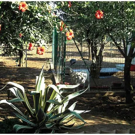 Farm stay Tenuta Venezia