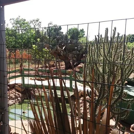 Tenuta Venezia *