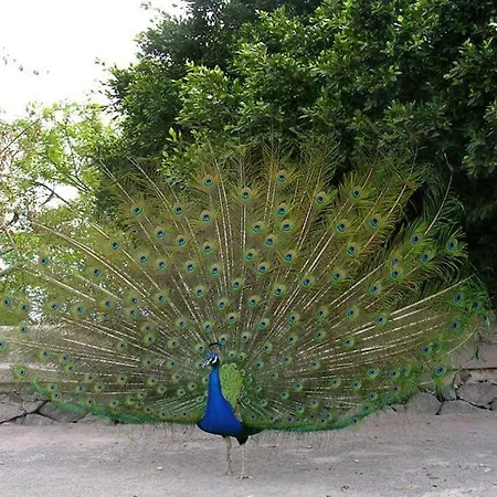 Tenuta Venezia Agroturismo