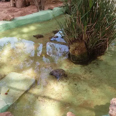 Tenuta Venezia Agroturismo