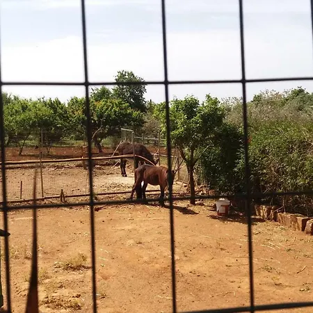 Agroturismo Tenuta Venezia