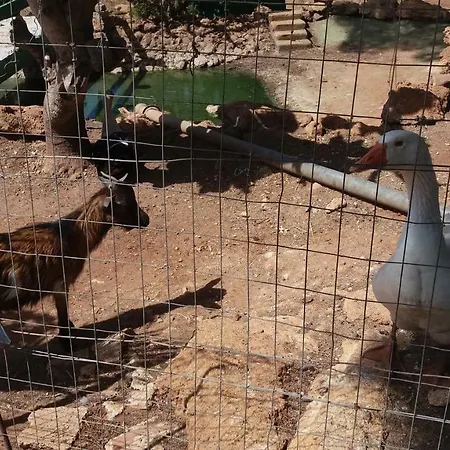 Tenuta Venezia Agroturismo