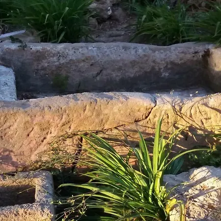 Tenuta Venezia Agroturismo